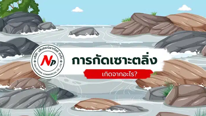 การเซาะตลิ่ง เกิดจากอะไร