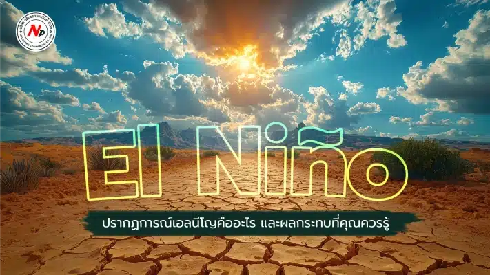 nptgabion 09.24