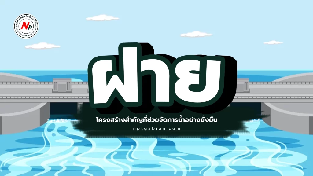 ฝาย - โครงสร้างสำคัญที่ช่วยจัดการน้ำอย่างยั่งยืน