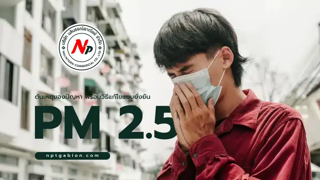 ต้นเหตุของปัญหาฝุ่น PM 2.5 พร้อมวิธีการแก้ปัญหาแบบยั่งยืน